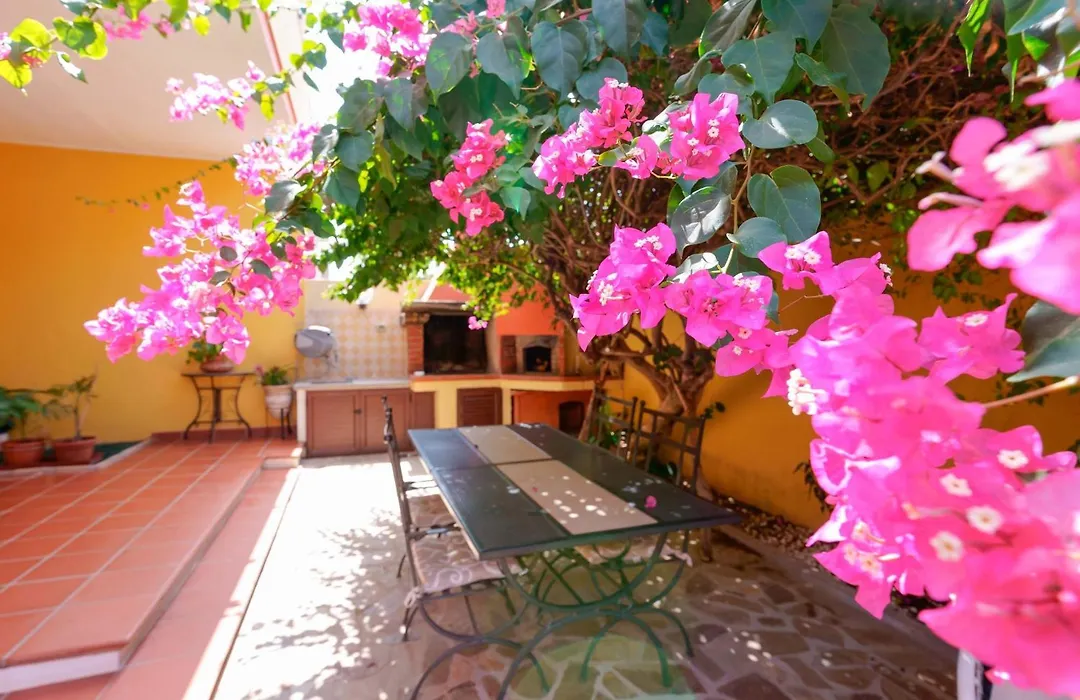 B&B Il Piccolo Giardino-1